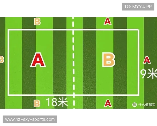 武汉飞盘队区域防守分析与战术得失探讨